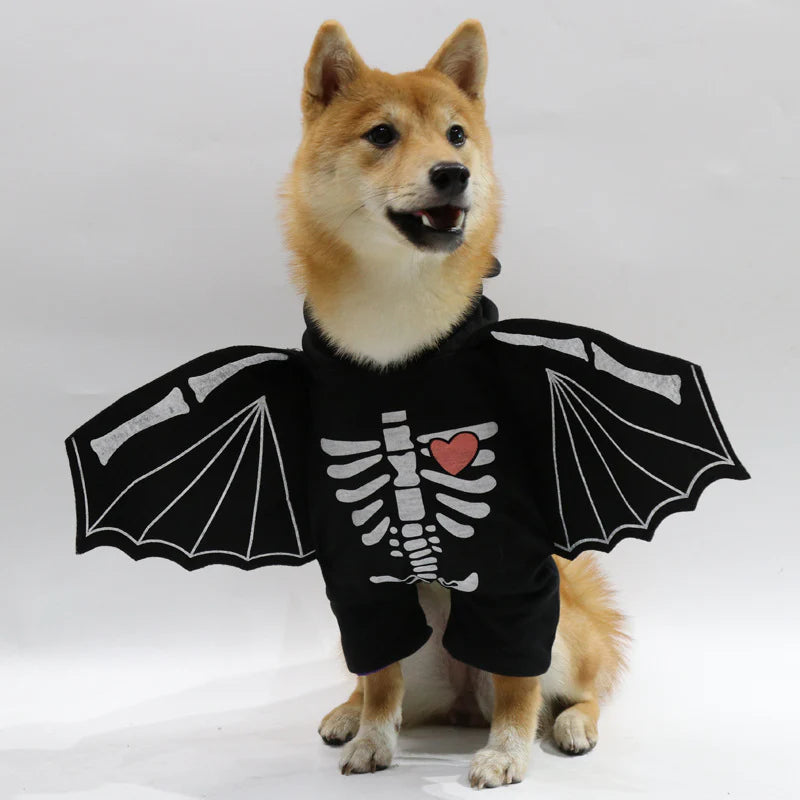 Halloween Bat Costume for Dogs