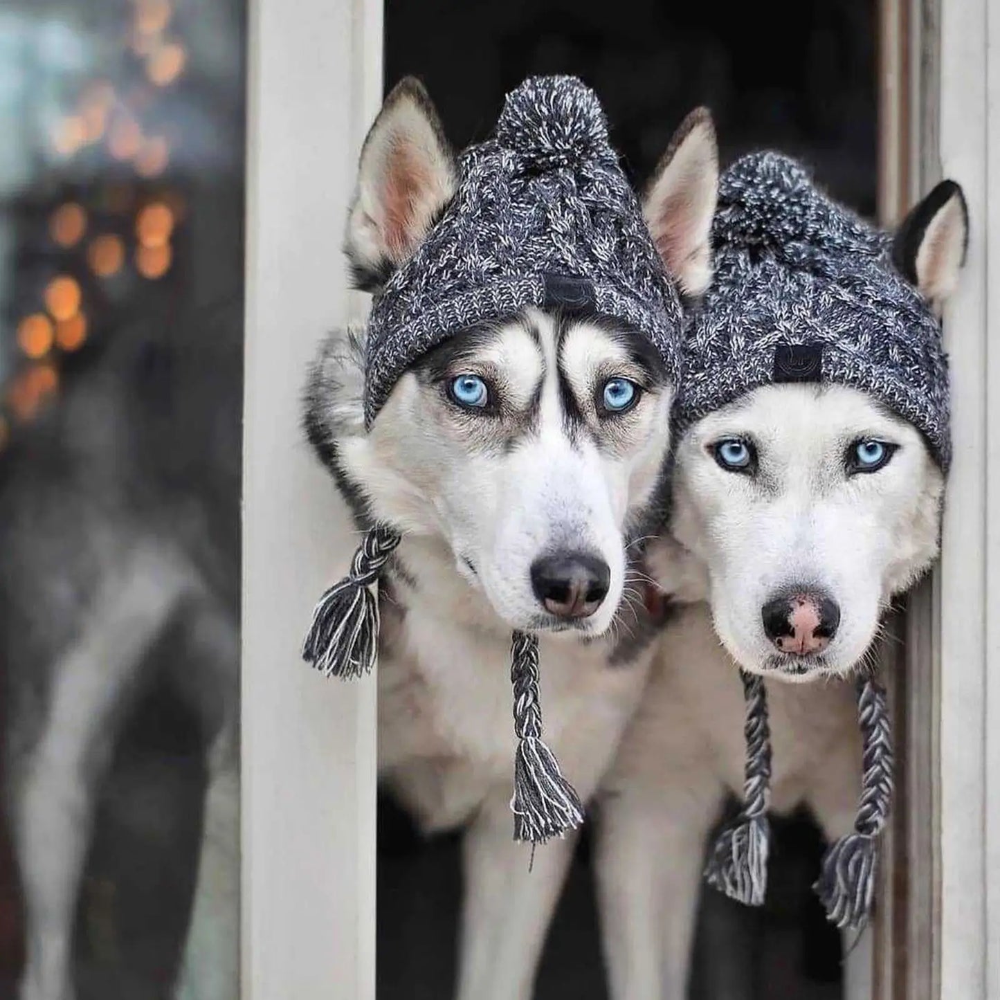 Windproof Knitting Hat For Pets