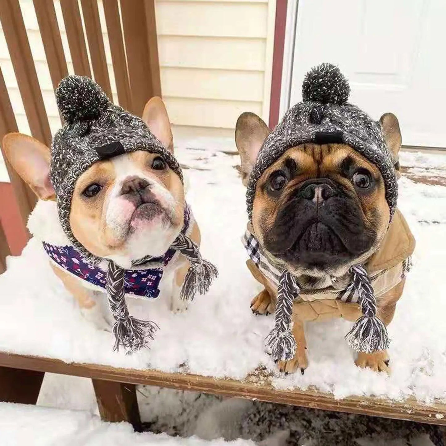 Windproof Knitting Hat For Pets