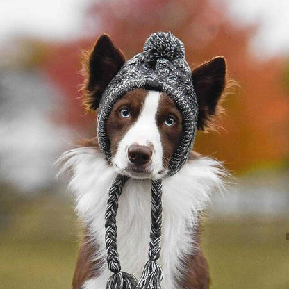 Windproof Knitting Hat For Pets